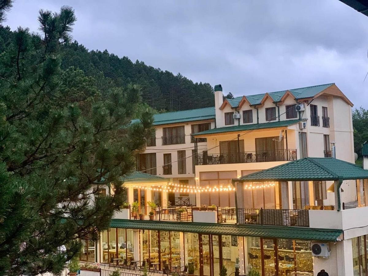 Hotel Surami 外观 照片